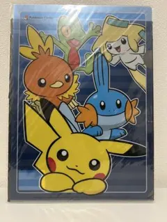 ポケットモンスター　ポケモンセンター限定 A4クリアファイル　2004年　当時物 ⭐︎2004年当時モノ！⭐︎ポケモンセンター クリアファイルA4サイズ