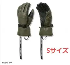 THE NORTH FACE スキー グローブ メンズ レディース＜2023＞