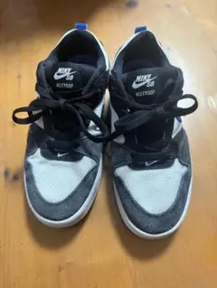 Nike SB Alleyoop 黒白スニーカー　23㎝