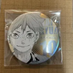 ハイキュー 缶バッジ 日向翔陽