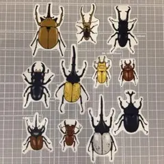 ⌘昆虫⌘アイロンワッペン11枚セット No.94