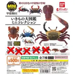 イキモノ大図鑑