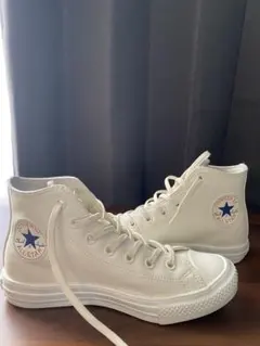 Item thumbnail for item 321e2f55-964c-468f-9228-0bc200f7daa3