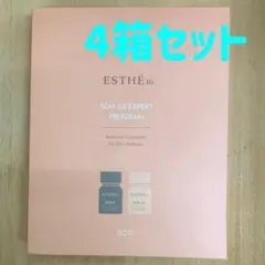 GD11 エステrx SCMC5 美容液 4箱セットのサムネイル