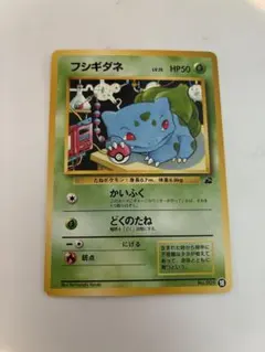 ポケモンカード 旧裏 フシギダネ ◇ 拡張シート第1弾(青版) - メルカリ