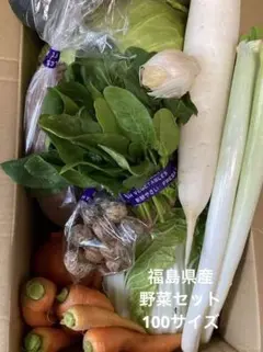 新鮮な野菜セット　訳あり　100サイズ　福島県野菜　農家直送