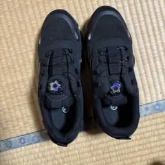 Item thumbnail for item b91cf829-92c2-45e2-82f2-2ed365e99740