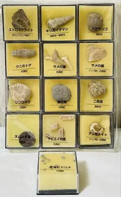 Item thumbnail for item c7da2a69-8eff-4bc7-be1d-7a993be8c4b9