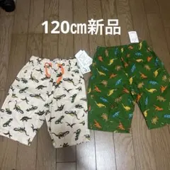 120㎝新品 恐竜　ハーフパンツ