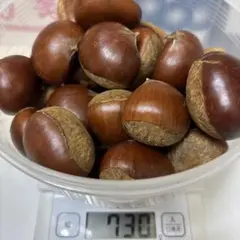 栗 果物