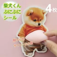柴犬シール4枚　お腹ぷにぷにステッカー　立体3Dおなか　動物キャラぷっくり　韓国