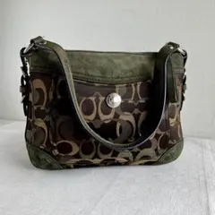 Coach Chelsea Optic Signature Hobo Bag