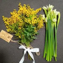 2026年最新】切り花 生花ミモザの人気アイテム - メルカリ