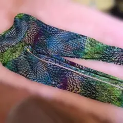 2026年最新】ジャザサイズの人気アイテム - メルカリ