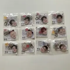 TREASURE 顔アクキー