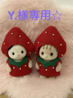 Y.様専用☆シルバニアファミリー　着せ替え服　赤いいちご2点セット