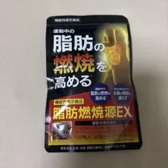 脂肪燃焼源EX 120粒