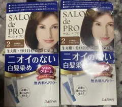 DARIYA SALON de PRO 白髪染め 2箱セットのサムネイル