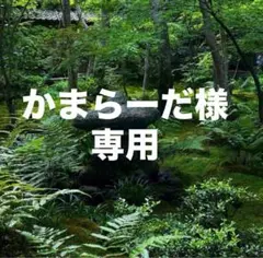 かまらーだ様 リクエスト 2点 まとめ商品