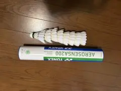 Item thumbnail for item 9785e3d2-5e38-44d0-9dc5-4a1c7c321d2b