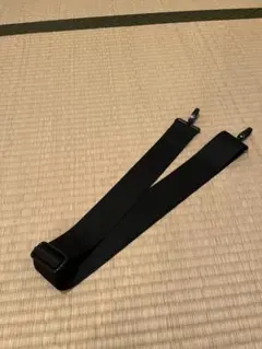 Item thumbnail for item 1d9775ba-92a4-40c9-9cbc-05e662474f87