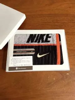 Item thumbnail for item 81b074aa-f883-40b8-98c2-401936bee060