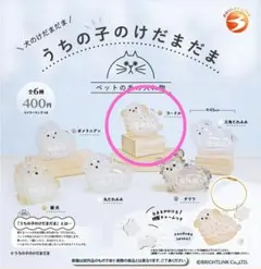 うちの子のけだまだま 犬のけだまだま　プードル×1