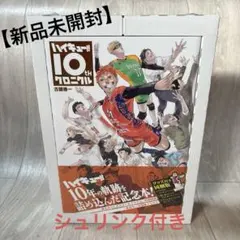【新品未開封】ハイキュー!! 10th クロニクル グッズ付き同梱版