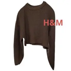 H&M クロップド丈ニット ブラウン Sサイズ ショート丈 セーター