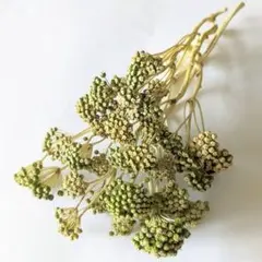 puku様 リクエスト 3点 まとめ商品