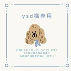 ysd様 リクエスト 2点 まとめ商品