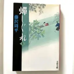 蝉しぐれ 上