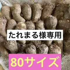 たれまる様専用 土付き里芋2.2k 80サイズ