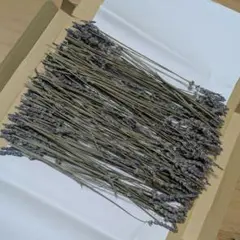 pinoco様 リクエスト 3点 まとめ商品