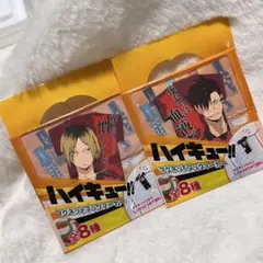 黒尾鉄朗 孤爪研磨 ハイキュー マグネットブックマーカー 特典