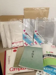 Item thumbnail for item 0ccc069e-8b5f-42cf-aa78-004944bb6230