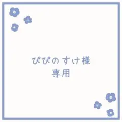 【ぴぴのすけ様専用】バインダー　ピンク透明 ×１　リフィル20枚