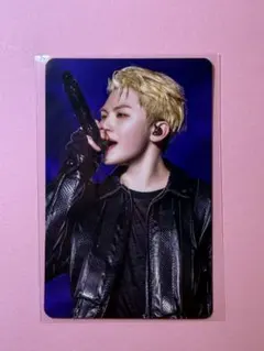 SEVENTEEN HOLIDAY デジコ WOOZI