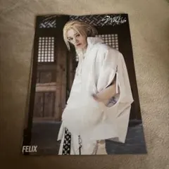 【難あり】straykids 合 HOP タワレコ特典フライヤー♡フィリックス