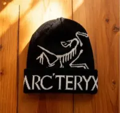 ビーニー　ニット帽　帽子　スケーター y2k グランジ