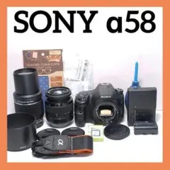 2026年最新】α65 sonyの人気アイテム - メルカリ