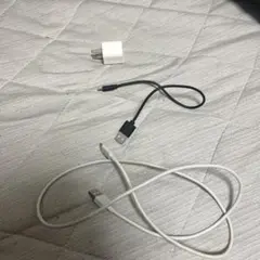 USB充電器とケーブルセット イヤフォン中身あり