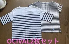 オーシバル　ボーダー　2枚セット