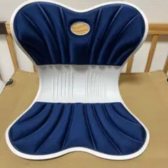 Holotap 骨盤サポートチェア 姿勢矯正 座椅子 猫背 骨盤座椅子 腰痛