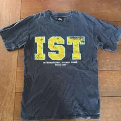 STUSSY ステューシー stussy IST Tシャツ Sサイズ