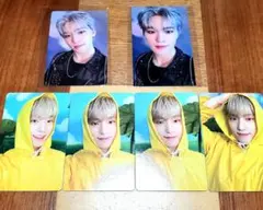 Seventeenth heaven　ディノ　ユニバーサル　carat盤　トレカ