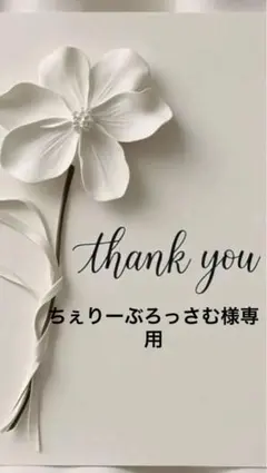 【極美品】セモアブライダルインナーE75/76フルセット＊ファーストオーナー