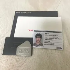 SEVENTEEN ドギョムDK IDカード　パズル