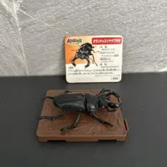 Item thumbnail for item 7f7180e9-fb6d-4b24-9aa4-c1c6e64204dc