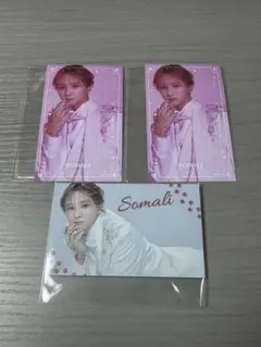 キャッテリア ハーフブロマイド ソマリ